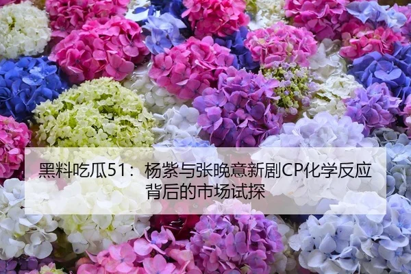 黑料吃瓜51：杨紫与张晚意新剧CP化学反应背后的市场试探