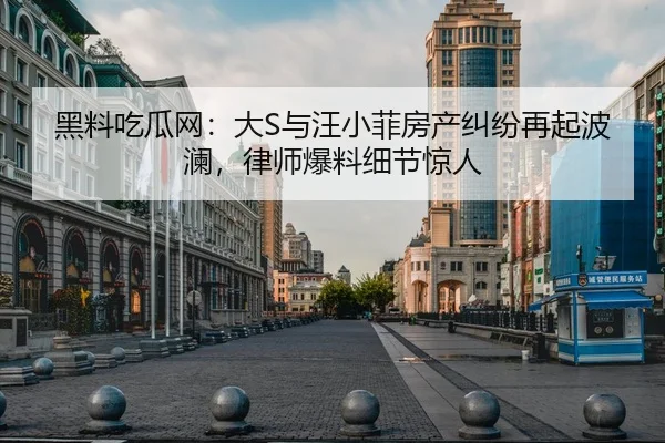 黑料吃瓜网：大S与汪小菲房产纠纷再起波澜，律师爆料细节惊人